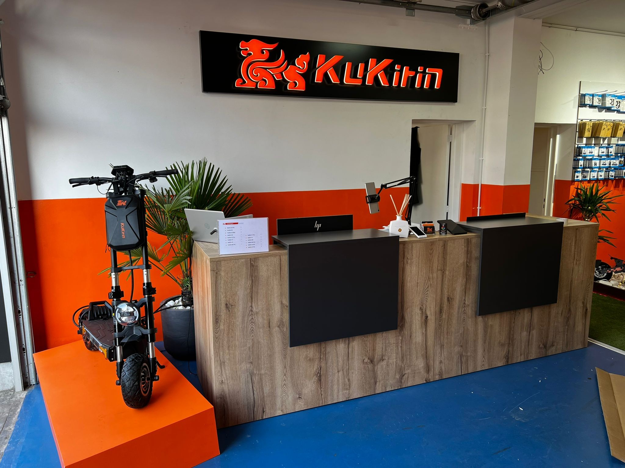 Dystrybutor Belgijski